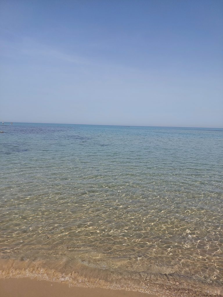 see
